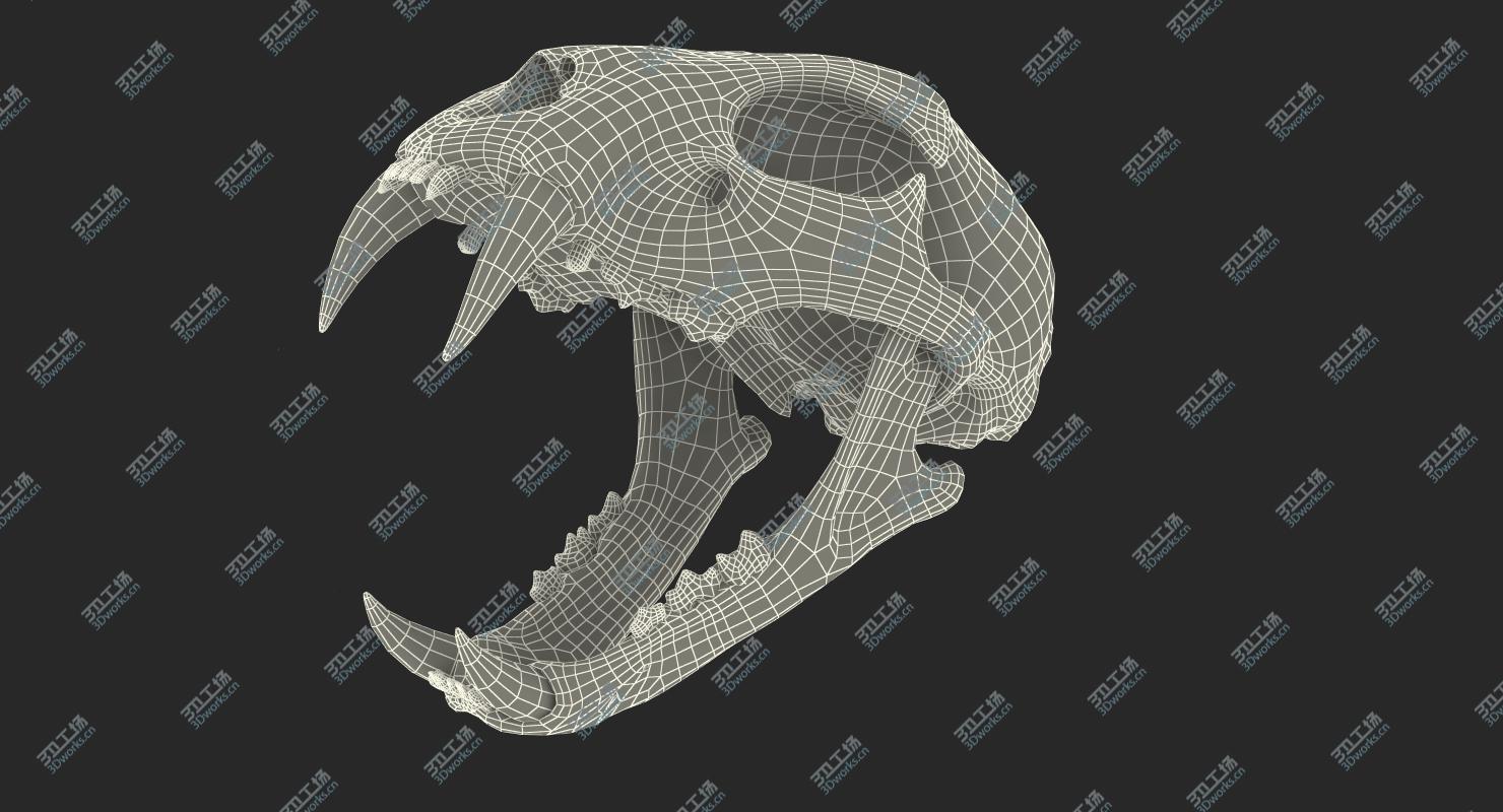 images/goods_img/202104091/Bengal Tiger Skull 3D/4.jpg